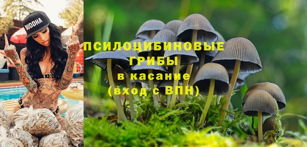 mdpv Алзамай